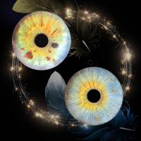 Karine LEFORT - KARINE LEFORT PHOTOGRAPHIE